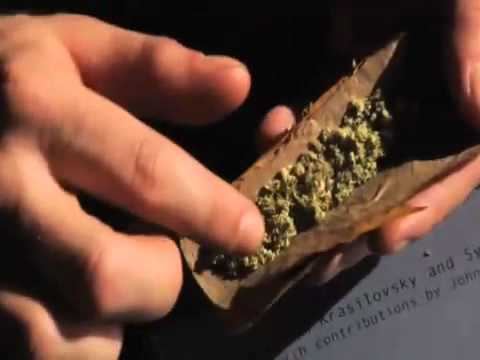 Los Brujoz - Sour Diesel