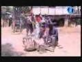 Baule Bihe Gardenan Pohar Pani Comedy Song Copy