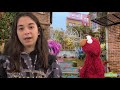 Sesame Street