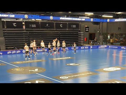 Särkänniemi Cup Leki\VesVi-Ervi Musta