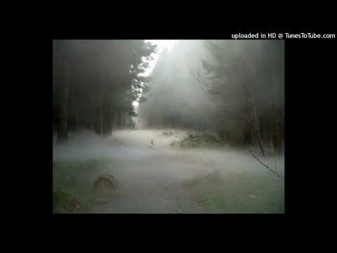 [FREE FOR PROFIT] ZillaKami X Lil Peep Type Beat - The Geek