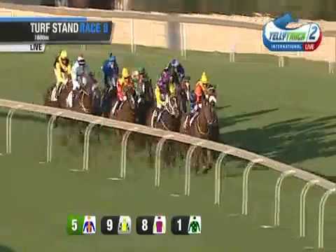 2014.11.29 Ipi Tombe Challenge - Arcetri Pink