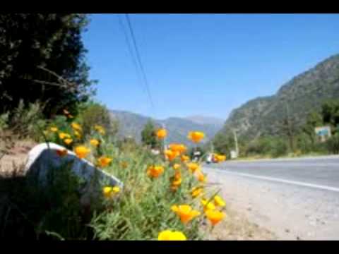 a la vera del camino jesus alfa y omega