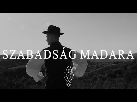 Szabadság Madara - Új Forrás (Official Music Video)
