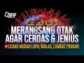 AYAT QURAN MERANGSANG OTAK AGAR CERDAS DAN JENIUS الرقية الشرعية