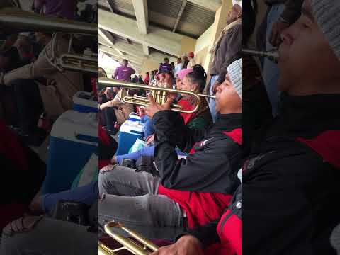 Spanish trumpet 🎺 Olie Olie ! @Alzanedrio