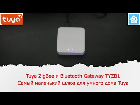 Наверное самый маленький Zigbee и Bluetooth шлюз для умного дома Tuya TYZB1