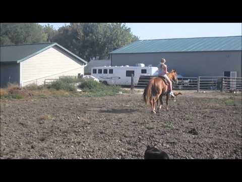 ☆ Brave Souls | Smoke ☆