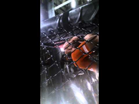 Emilas Jimenez fight part 2