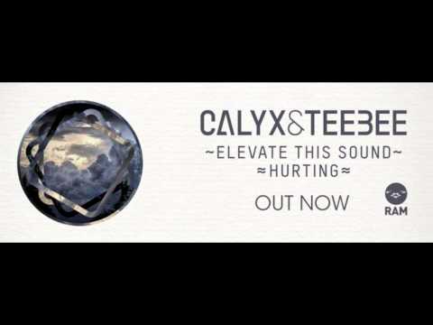 Calyx & TeeBee - Elevate This Sound (Original Mix) (Amazing Quality)