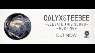 Calyx & TeeBee - Elevate This Sound (Original Mix) (Amazing Quality)