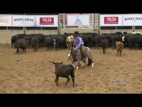 Sannman (2014 Breeders Invitational Derby Open 3rd)