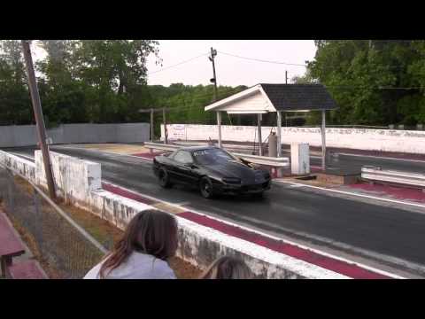 Thumbnail for Alpha Wolf