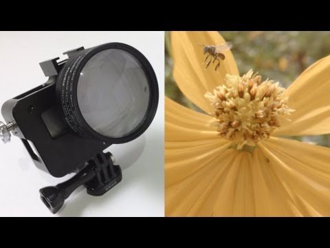 How to use macro filter w/Gopro HERO5/6/7, minimum focus test & sample footage