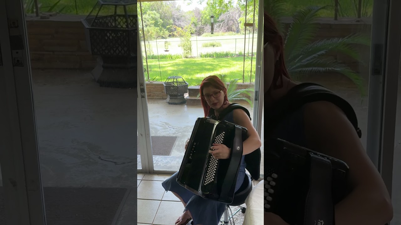 Promotional video thumbnail 2 for Rebecca Jane Accordion/Keyboard/Pianist