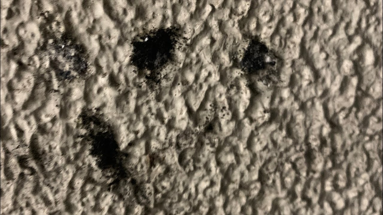 寝る前にちょい雑談配信