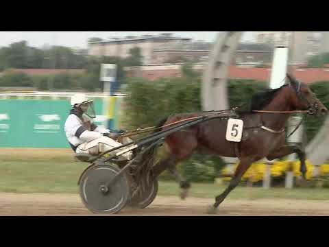 2019.09.07. 05. futam - FEKETE LÁSZLÓ EMLÉKVERSENY