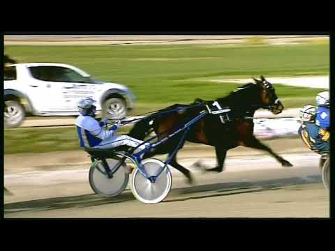 Trotto 23/02/2020 - 4ª corsa