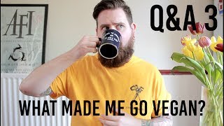 Q&A 3: Why I went Vegan & more