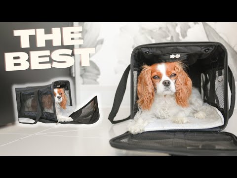 Our Favorite Dog Carrier for Traveling: A Must-Have for Pet Owners