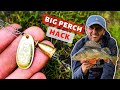 Perch Fishing HACK! How to catch BIG PERCH on Spinners!