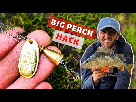 Perch Fishing HACK! How to catch BIG PERCH on Spinners!