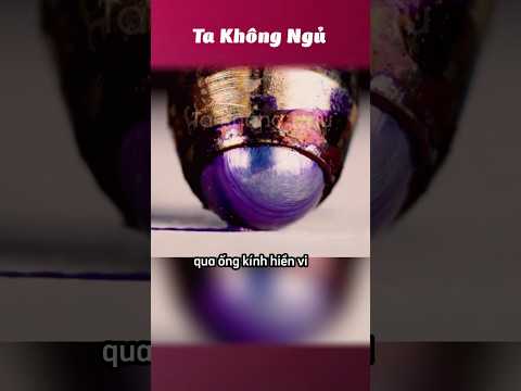 Những video có thể bạn chưa thấy bao giờ 🙄 #takhongngu