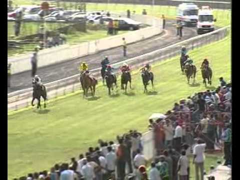 Green Keeper remporte The Noble Salute Cup