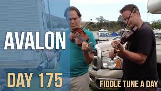 Avalon - Fiddle Tune a Day - Day 175