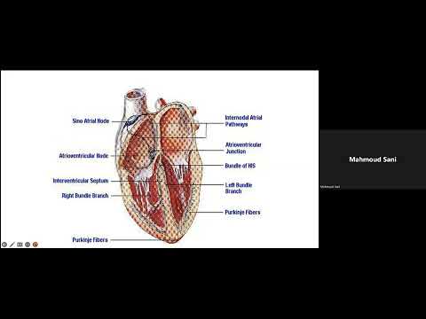 Reading and Interpretation of ECG