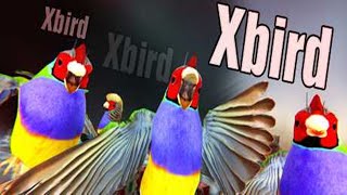 Xbird Gameplay HD (PC) | NO COMMENTARY