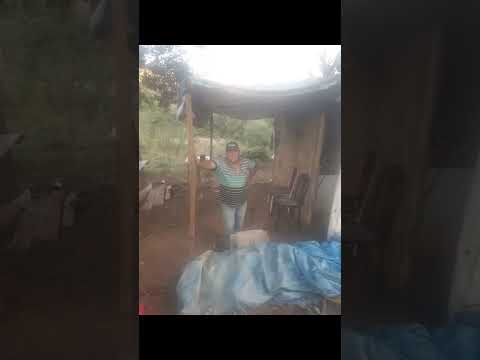 Pré assentamento vida nova Niquelândia GO 9 anos de existência 