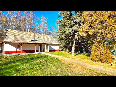 🏠 Nyársapáton kitűnő helyen lévő 75 nm-es tanya Eladó! (344890)