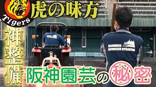 Re: [新聞] 職棒球場草皮凹凸引熱議 前兄弟林家緯點