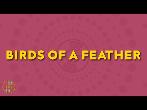 Billie Eilish - BIRDS OF A FEATHER (Lyrics)