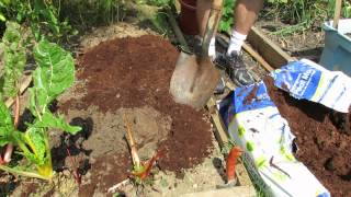 How to Use Peat Moss/Organic Matter in Your Raised Bed: My 1st Vegetable Garden - MFG 2013
