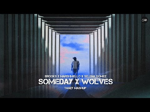 Brooks x Selena Gomez x Marshmello - Someday x Wolves (TANZY Mashup)