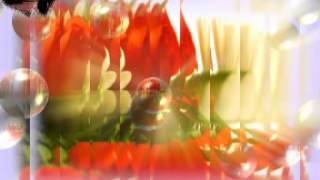 Download lagu Segalanya Telah Berakhir - Eddie Hamid ~ Lirik~ mp3