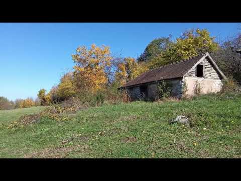 Najljubavnija pesma  Miroslav Mika Antić