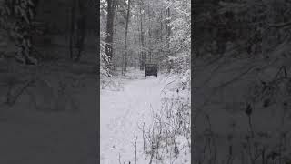 Cool Jeep Willys in snow