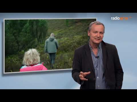 Die Filmtipps vom 19.09.2019 Ad Astra - Systemsprenger - Das innere Leuchten