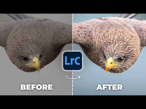 This Lightroom Trick Instantly Makes Photos Look Sharper