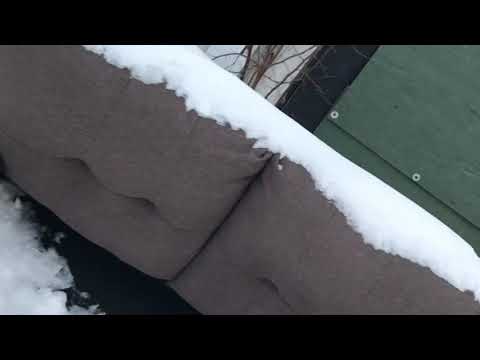 Almighy Nigel - Meet Yo Slaughter ft Chosen Kidd (Official Video) Prod. By Aero