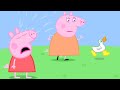 Where Are Peppa Pig S Golden Boots Peppa Pig Official Family Kids Cartoon