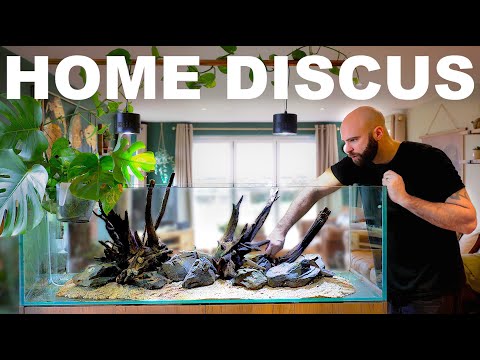 Building A Home Discus Aquarium (EP2)
