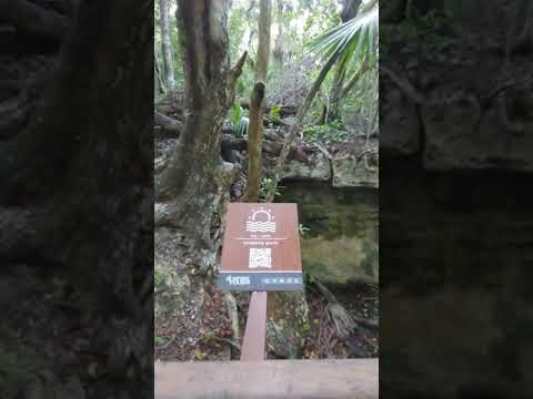 Resort Tour of The Fives Beach