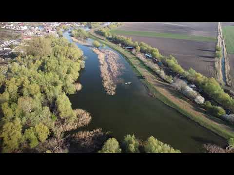 Dunavatul de jos - Complex Pestisorul & Pelicanul