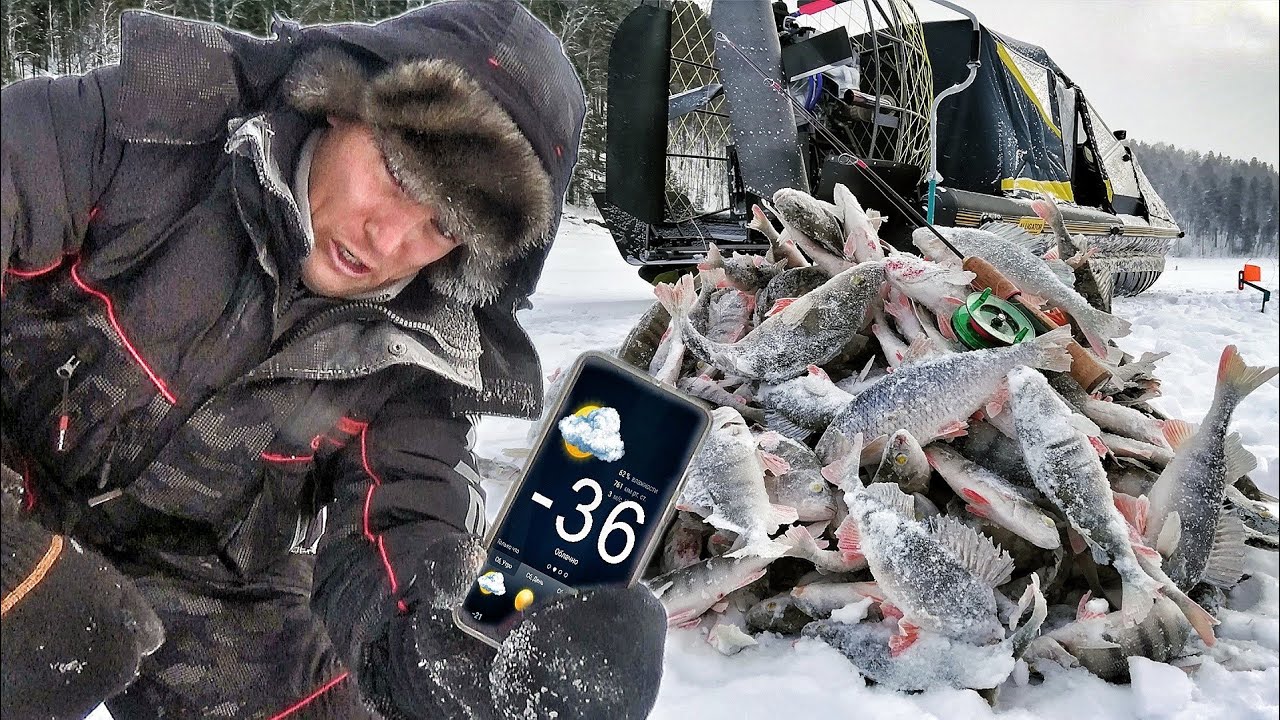 Не дают опустить! С ночёвкой в лодке в дубак! Рыбалка 2021!