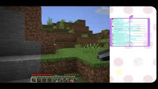マイクラ配信