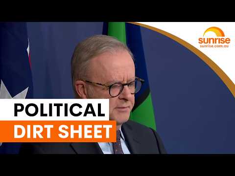 Albanese defends political document on Helen Haines | Sunrise